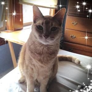 Meet your Posher, Ann